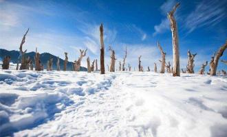 吉林省吉林市大力发展冰雪经济促转型