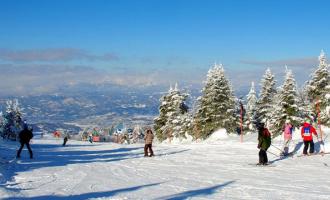 全国滑雪场联盟办冰雪运动与营地教育发展论坛