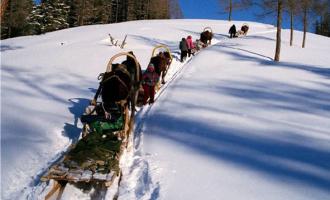 “冷资源”带动“热经济” 冰雪旅游走俏还需哪几步