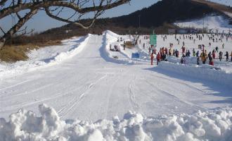 北京市顺义区旅游行业协会到莲花山滑雪场走访调研