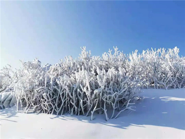 林语山谷戏雪乐园开板迎客5