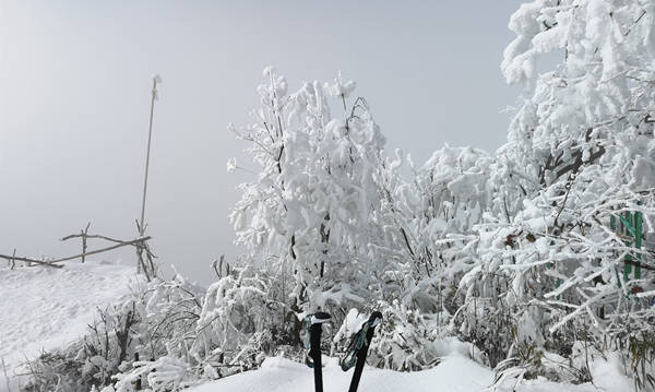 户外雪景