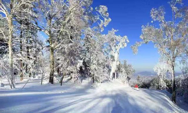 室外滑雪场