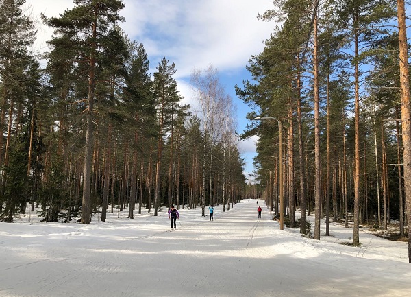 在拉赫蒂市体育中心，民众免费享受专业冰雪场地。