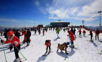 室外滑雪场中有哪些安全隐患？需要怎么预防?